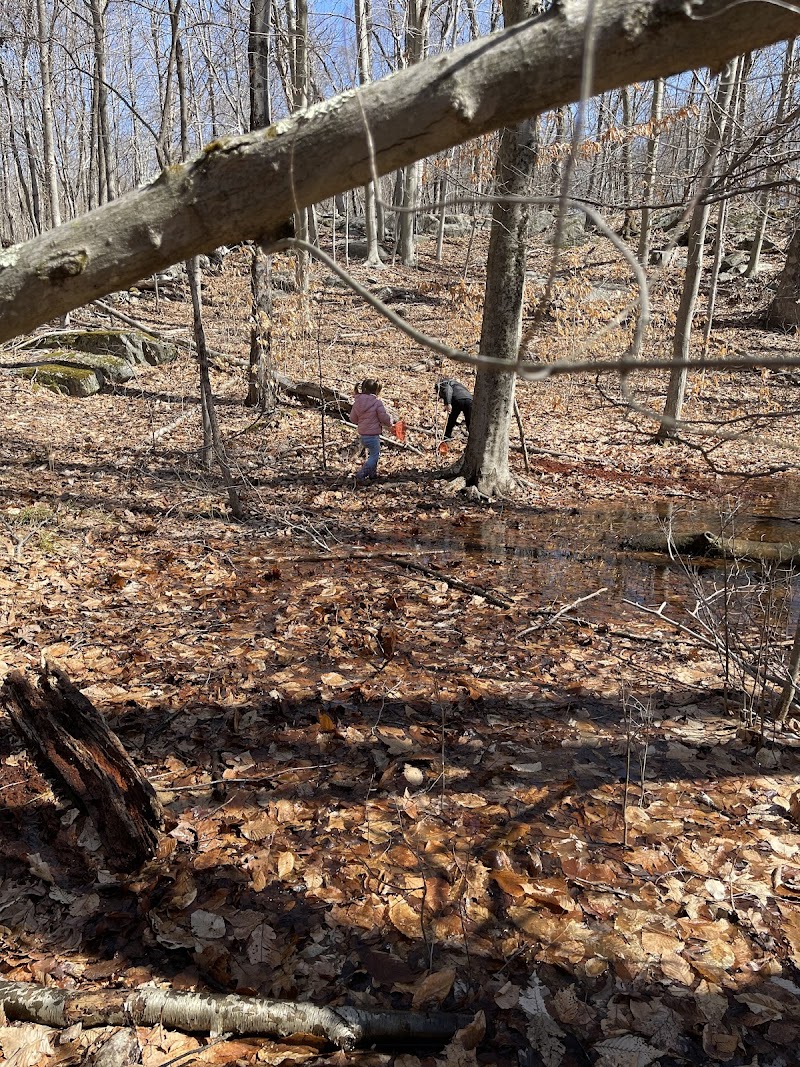 Woodcock Nature Center photo 5