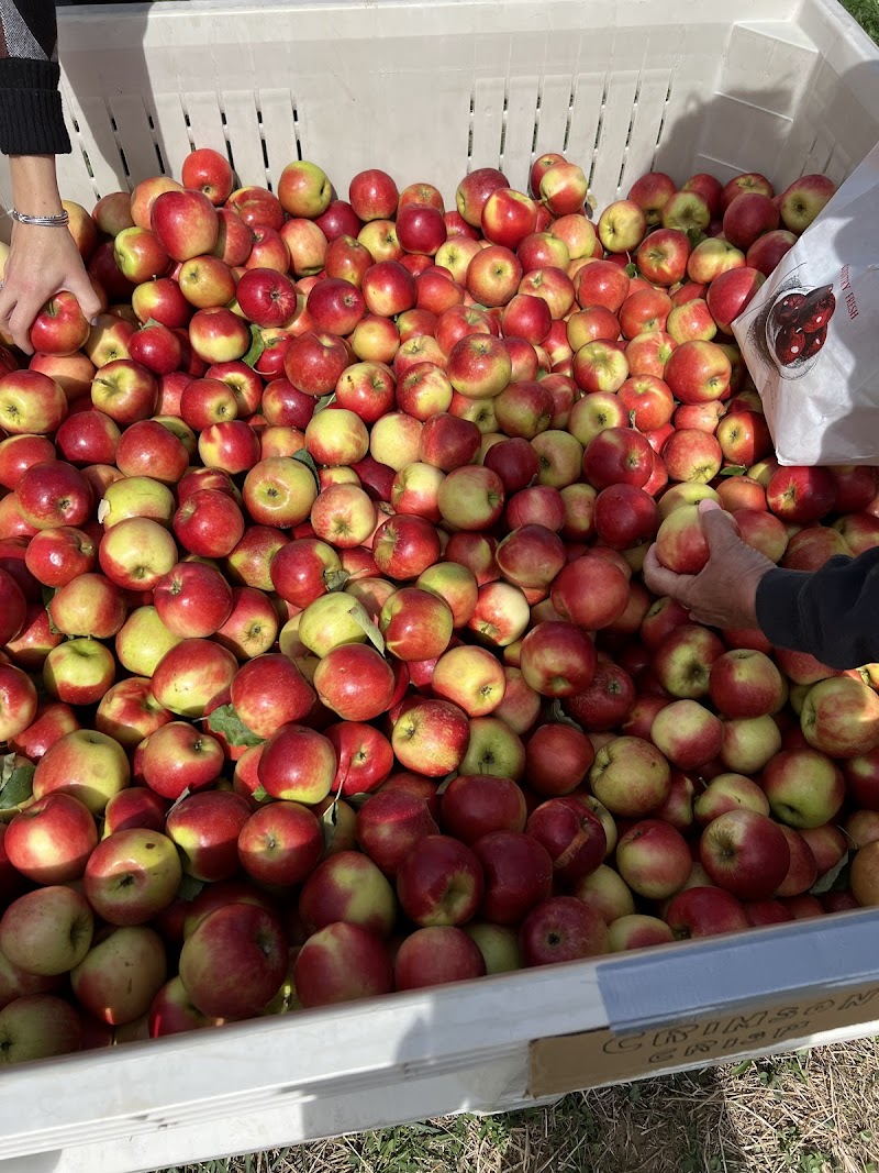Woodside Orchards - Jamesport photo 2