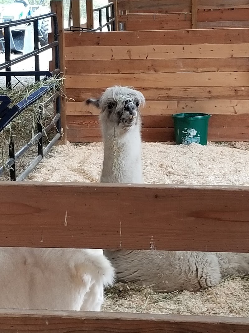 Woodstock Farm Sanctuary photo 3