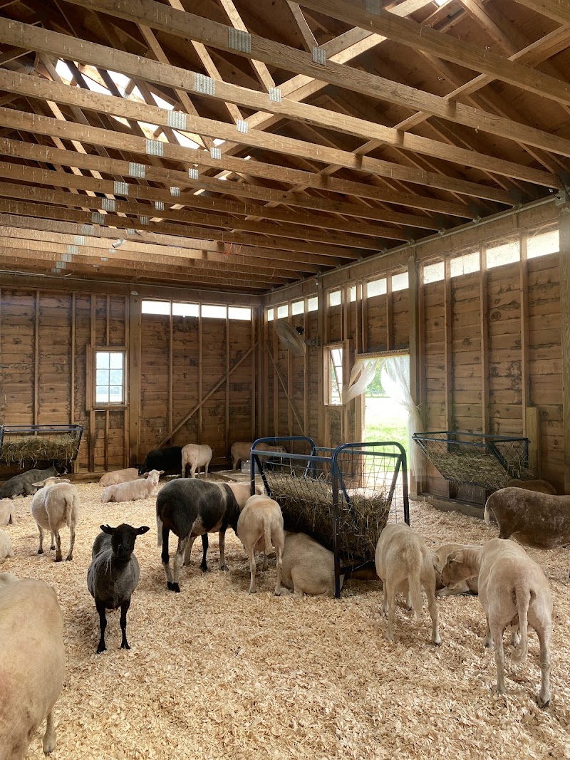 Woodstock Farm Sanctuary photo 5