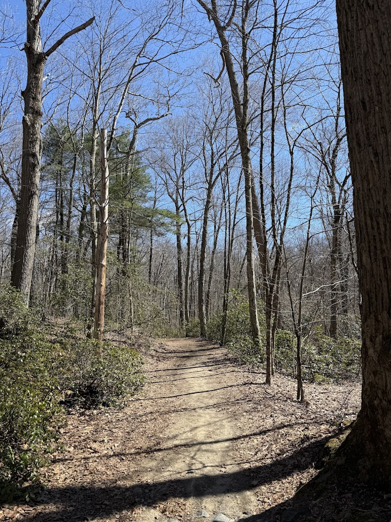 Wooster Mountain State Park Scenic Reserve photo 3
