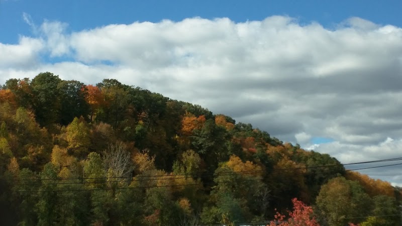 Wooster Mountain State Park Scenic Reserve photo 5