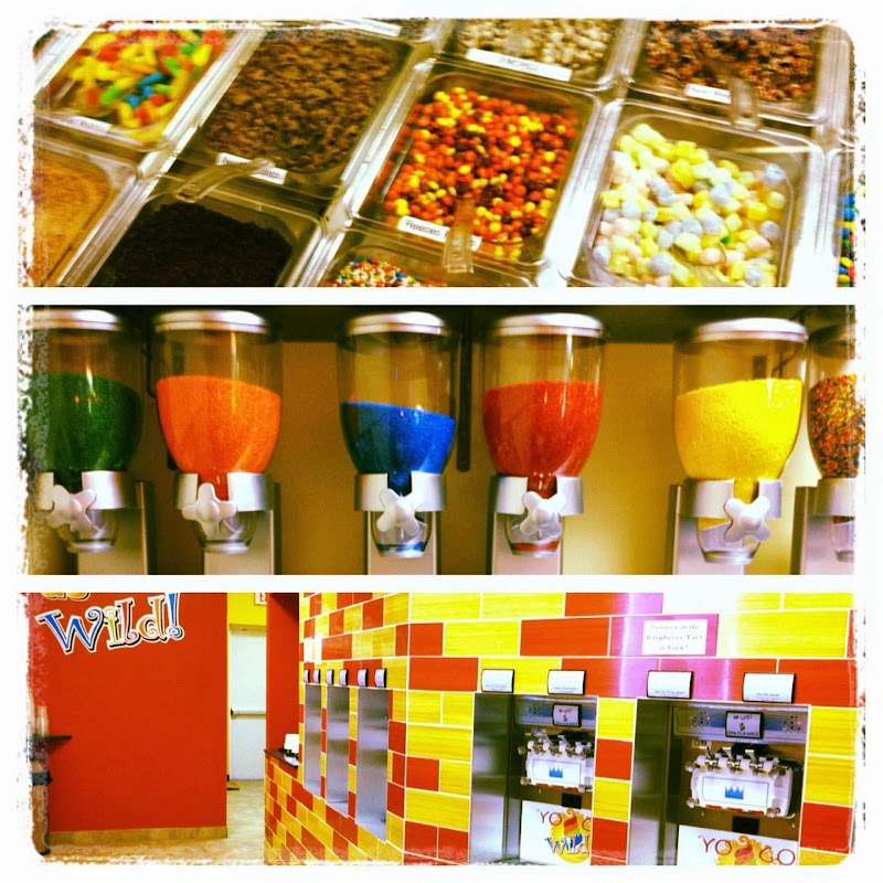 Yo Go Wild Self Serve Frozen Yogurt photo 2