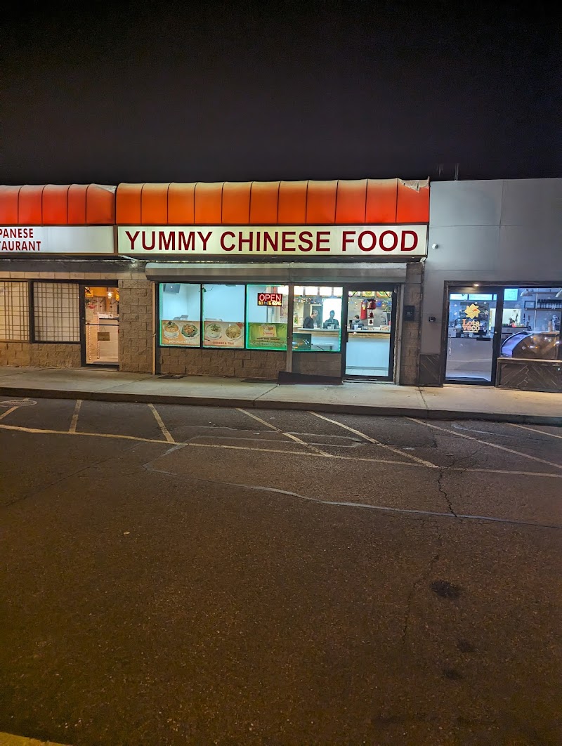 Yummy Chinese Food photo 3
