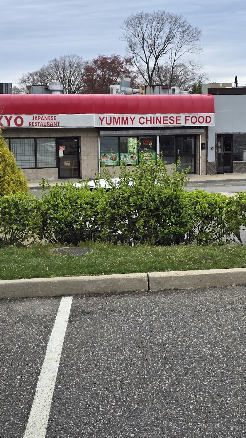 Yummy Chinese Food photo 4