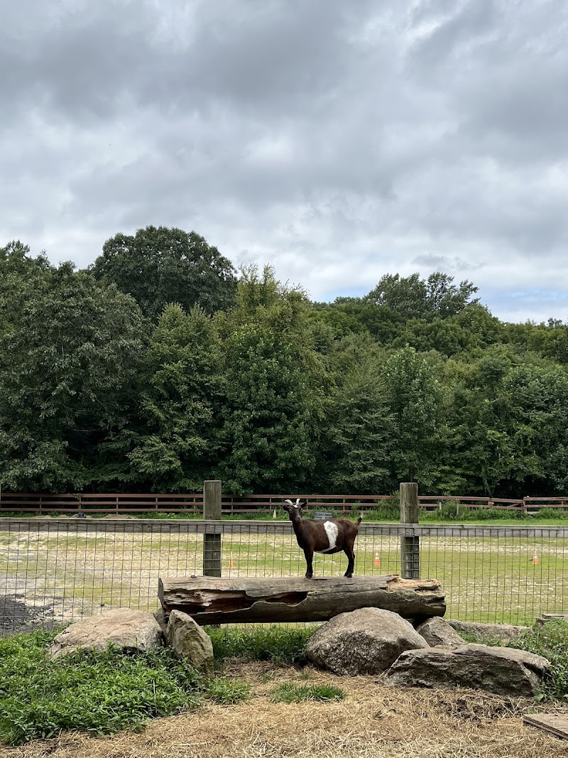 Zenko Family Farm photo 4