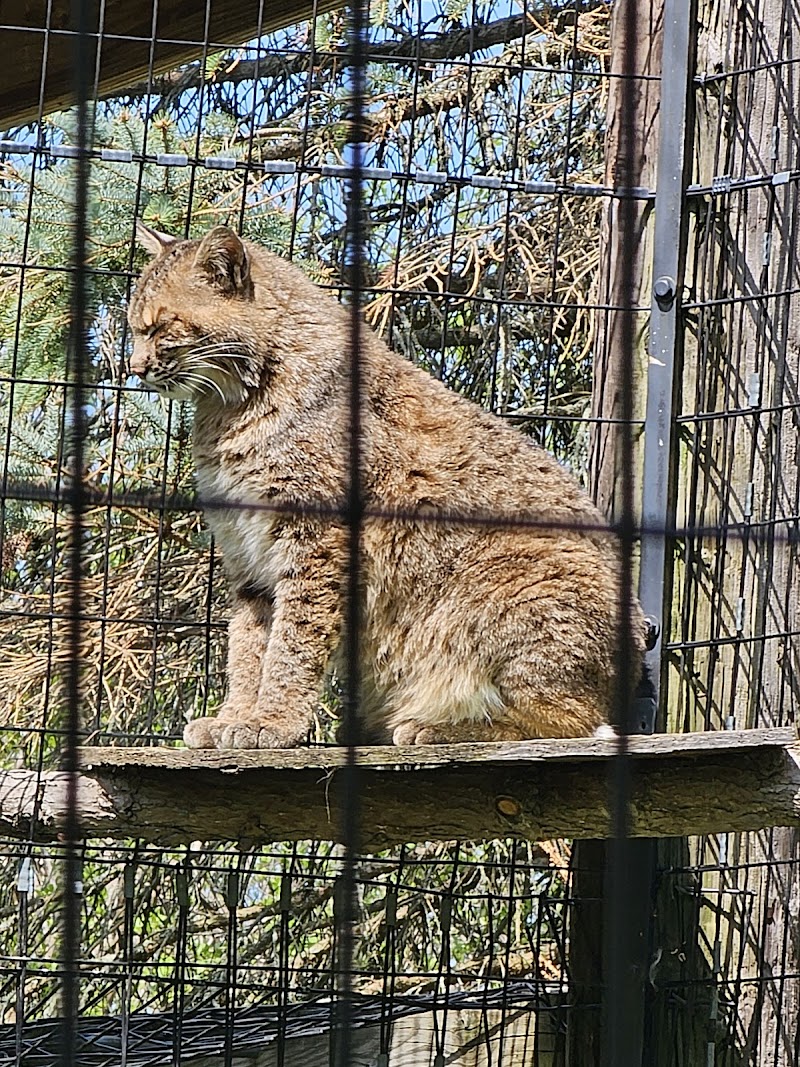 Zoo New York photo 3