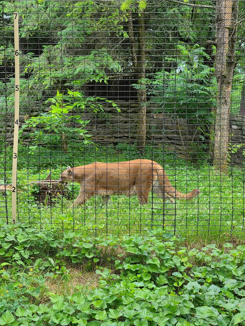 Zoo New York photo 5