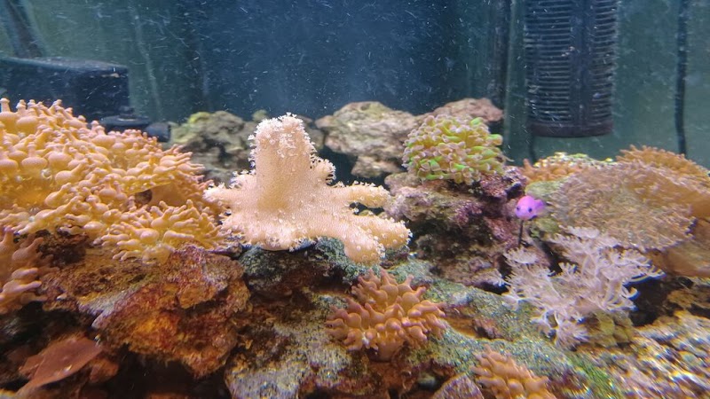 Zoo Pet Center photo 2