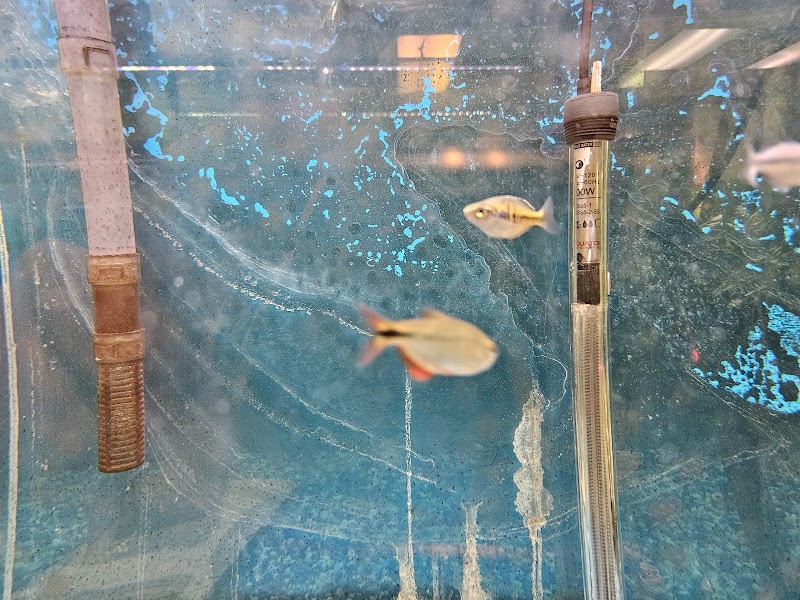 Zoo Pet Center photo 3