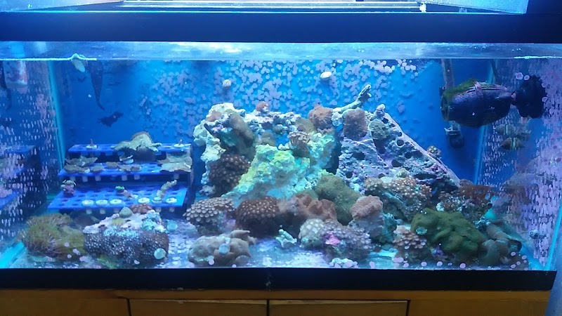 Zoo Pet Center photo 4