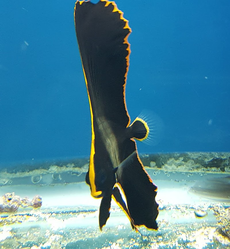 Zoo Pet Center photo 5